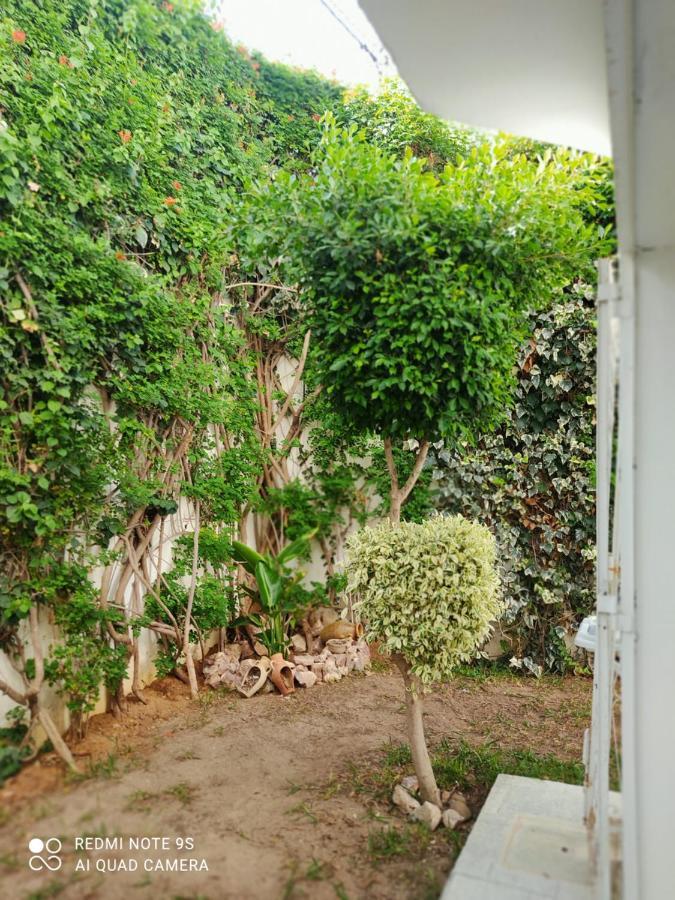 Etage De Villa Avec Jardin, Pres De L'Aireport Et Parking Prive Ariana Eksteriør billede