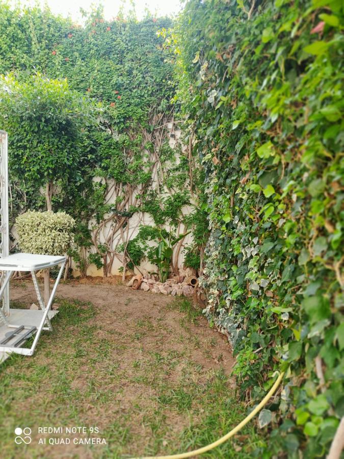 Etage De Villa Avec Jardin, Pres De L'Aireport Et Parking Prive Ariana Eksteriør billede