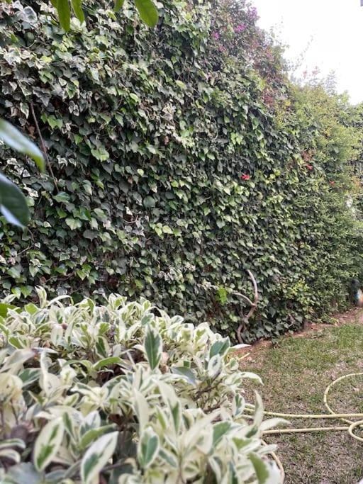 Etage De Villa Avec Jardin, Pres De L'Aireport Et Parking Prive Ariana Eksteriør billede