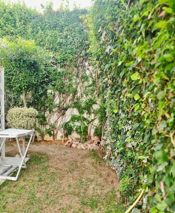 Etage De Villa Avec Jardin, Pres De L'Aireport Et Parking Prive Ariana Eksteriør billede