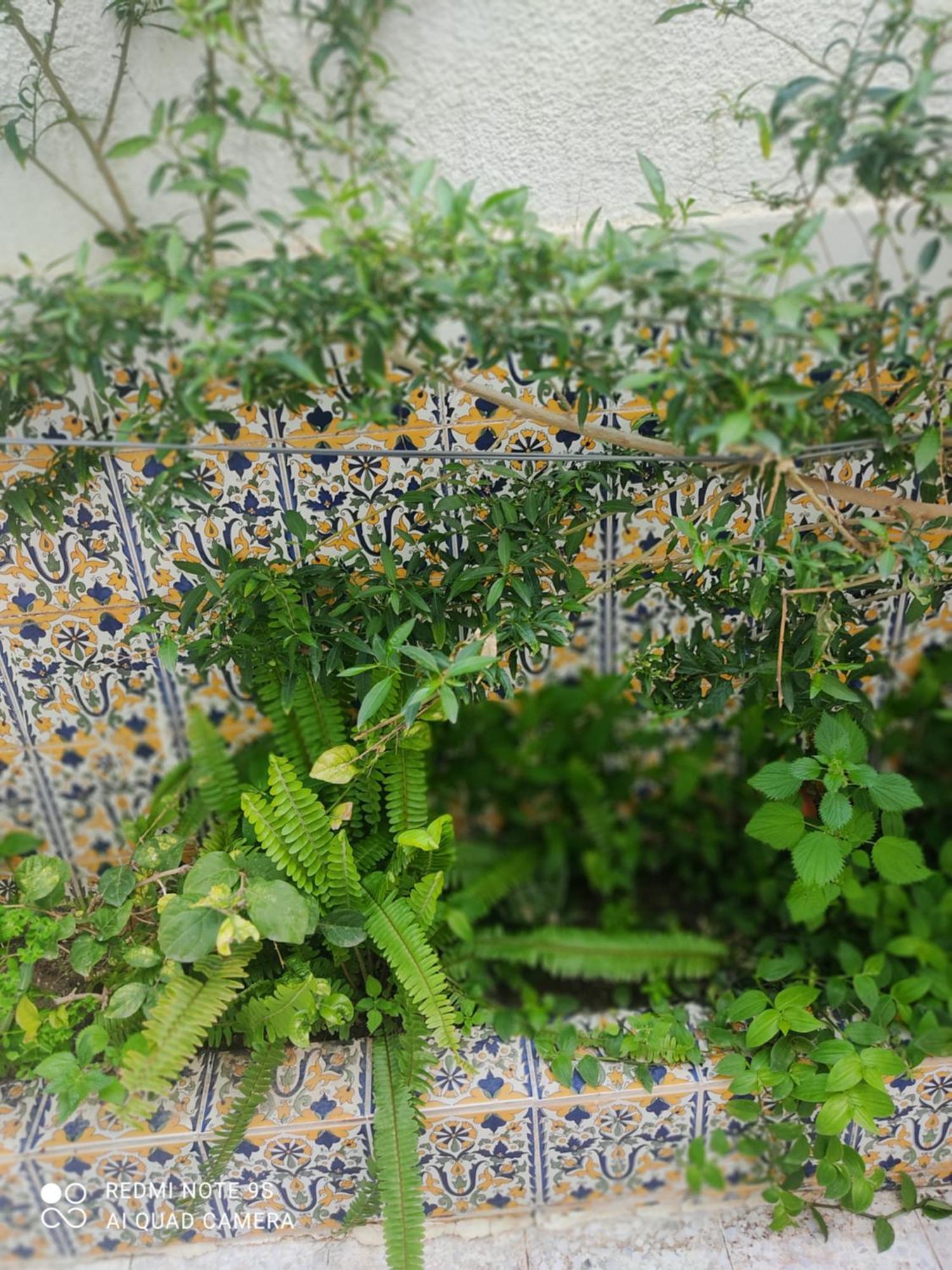 Etage De Villa Avec Jardin, Pres De L'Aireport Et Parking Prive Ariana Eksteriør billede